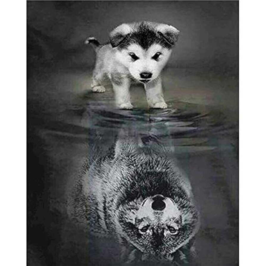 Amazon | BTDG 大人の初心者のためのDIYアクリル絵の具キット